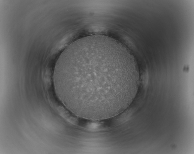 X0000112830662200908211218