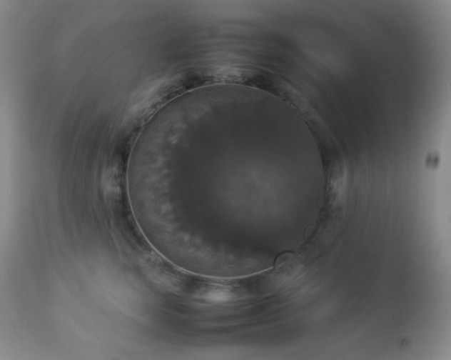 X0000112830663200908211218