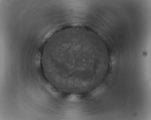 X0000112830664200908211218