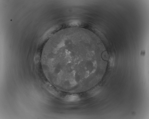 X0000112830665200908211218