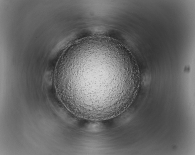 X0000112830666200908211218