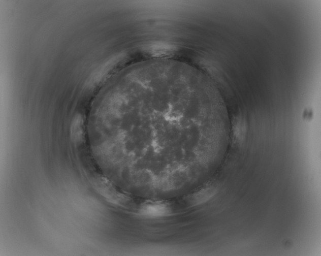 X0000112830667200908211218