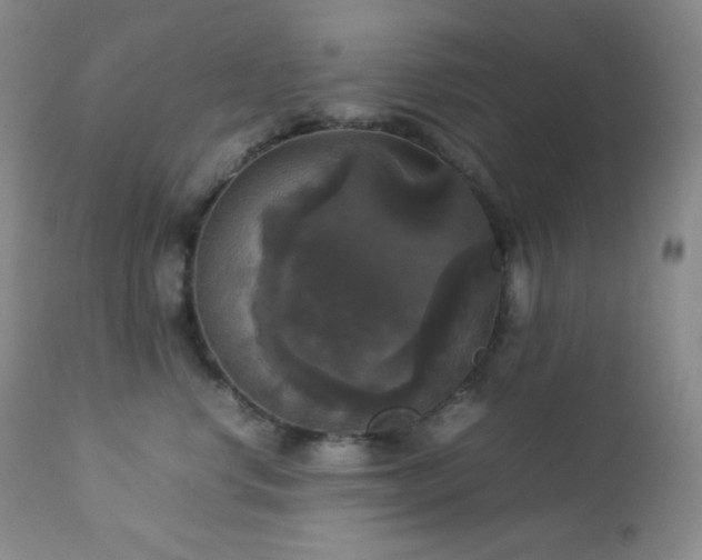 X0000112830668200908211218