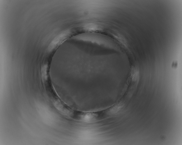 X0000112830670200908211218