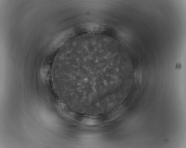 X0000112830671200908211218