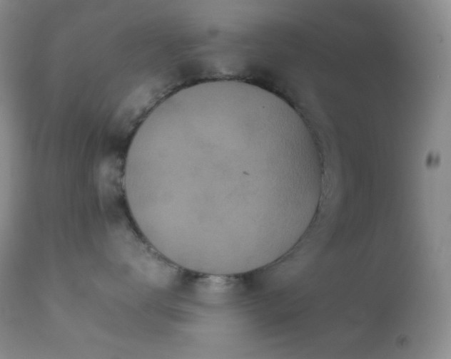 X0000112830672200908211218