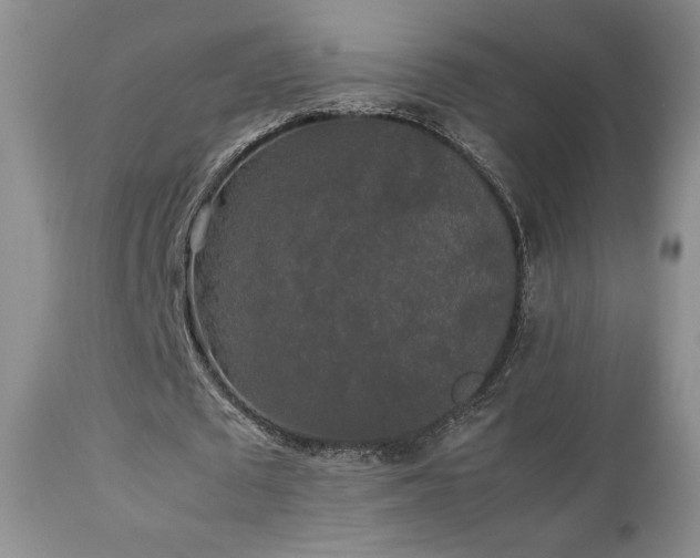 X0000112830673200908211217