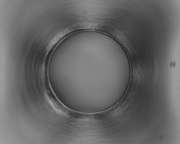 X0000112830674200908211217