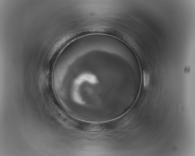 X0000112830675200908211217