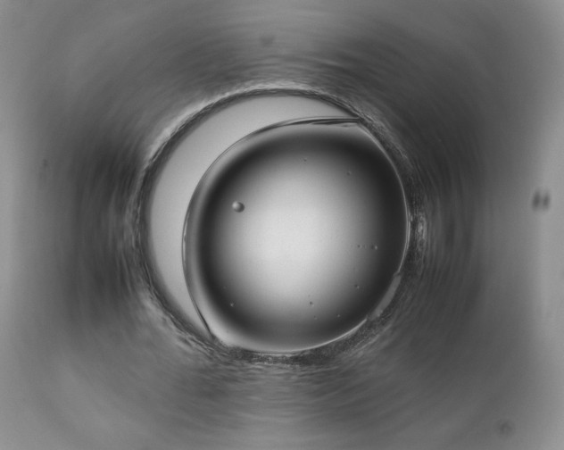 X0000112830676200908211217