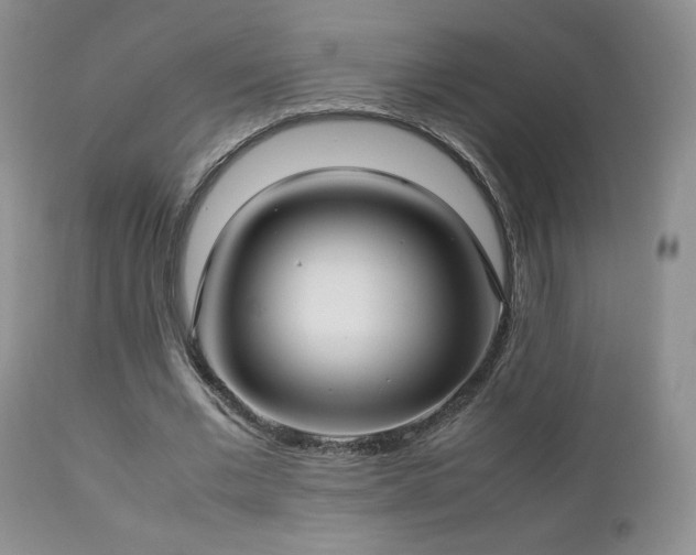 X0000112830677200908211217