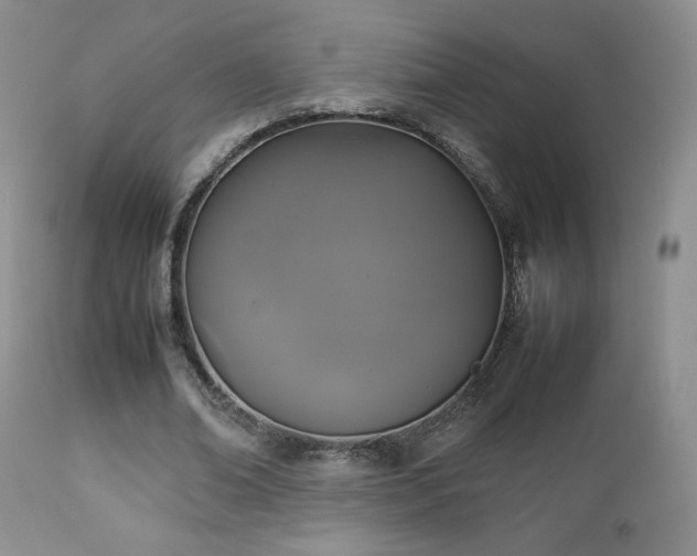 X0000112830678200908211217