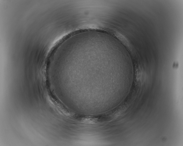 X0000112830680200908211217
