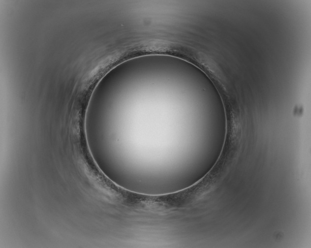 X0000112830681200908211217