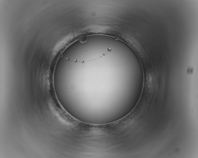 X0000112830682200908211217