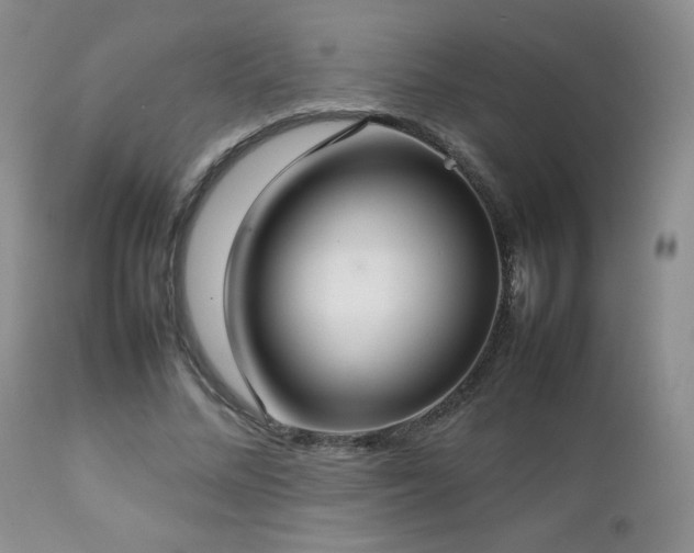 X0000112830684200908211217