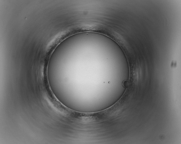X0000112830686200908211217