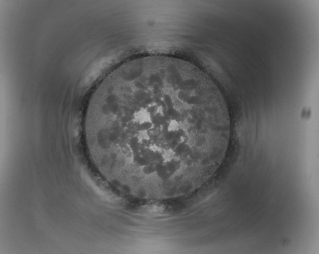 X0000112830687200908211217