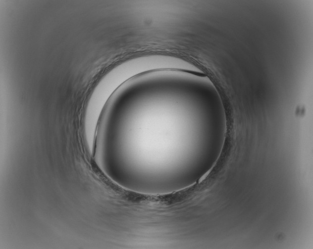 X0000112830689200908211217