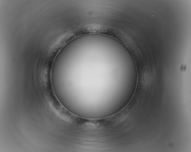 X0000112830690200908211217