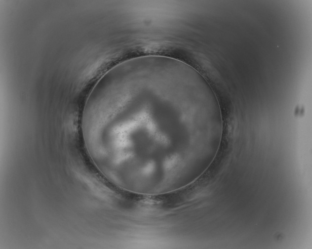 X0000112830691200908211217