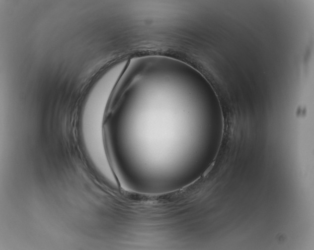 X0000112830692200908211217