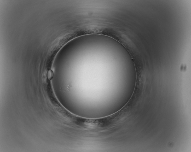 X0000112830693200908211217