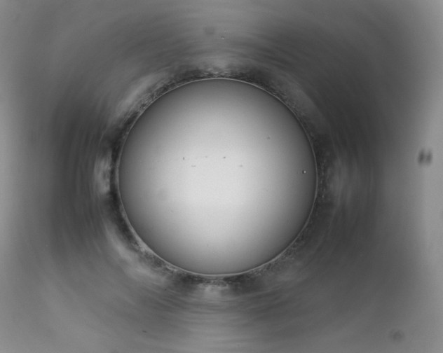 X0000112830694200908211217