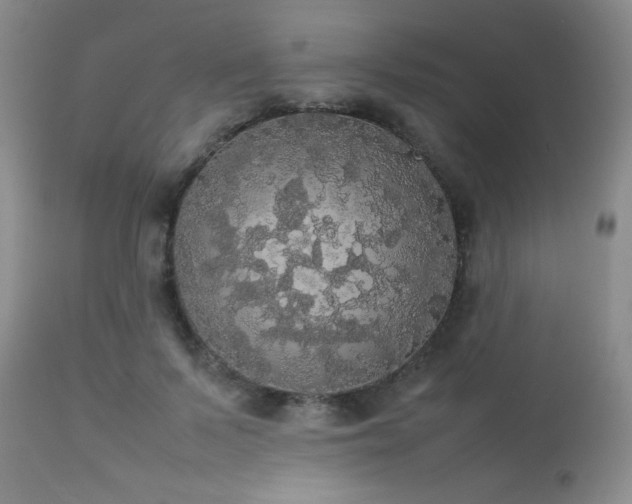 X0000112830695200908211217
