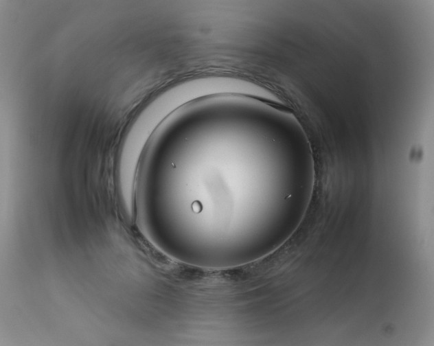 X0000112830696200908211217