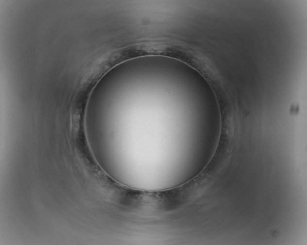 X0000112830697200908211217