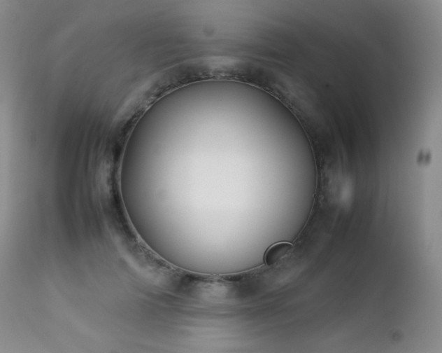 X0000112830698200908211217
