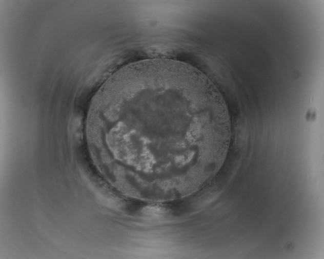 X0000112830699200908211217