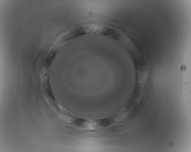 X0000112830701200908211217