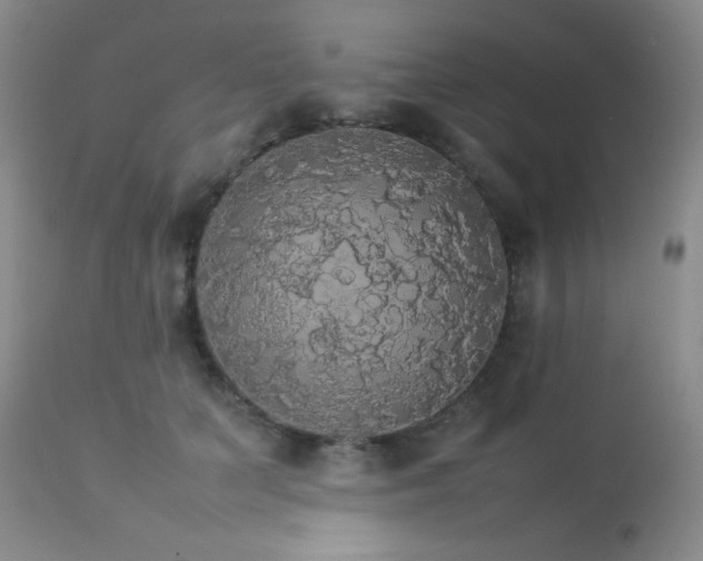 X0000112830703200908211217