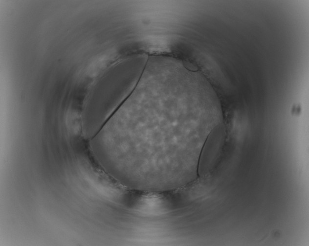 X0000112830704200908211217