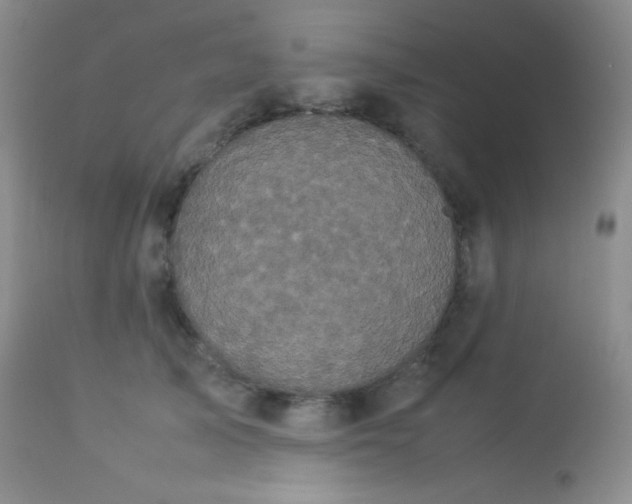 X0000112830705200908211217