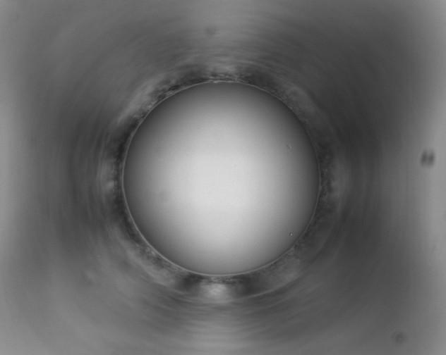 X0000112830706200908211217
