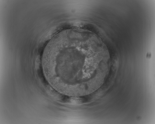 X0000112830707200908211217