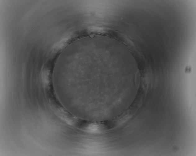 X0000112830708200908211217
