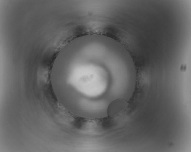 X0000112830709200908211217