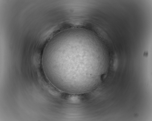 X0000112830710200908211217