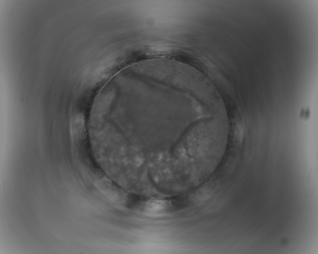 X0000112830711200908211217
