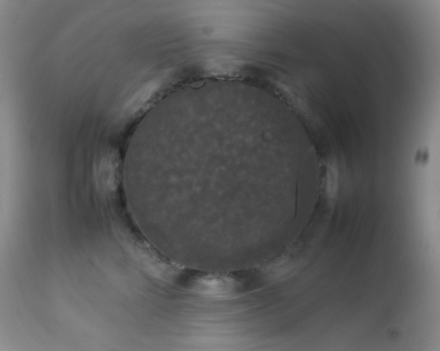 X0000112830712200908211217