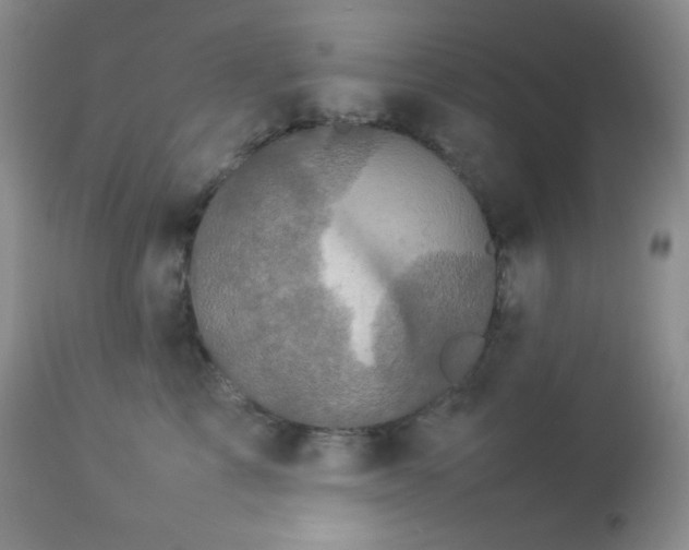 X0000112830713200908211217