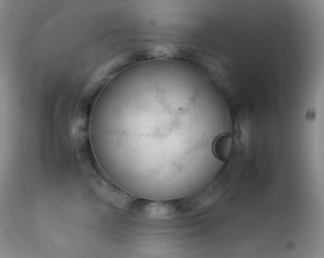 X0000112830714200908211217