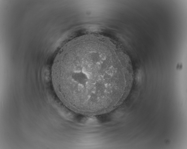 X0000112830715200908211217