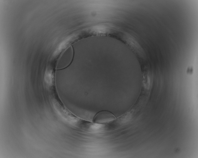 X0000112830718200908211217