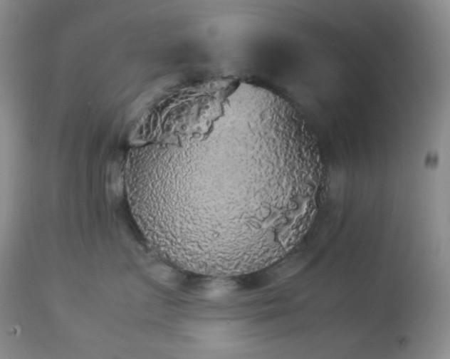 X0000112830719200908211217