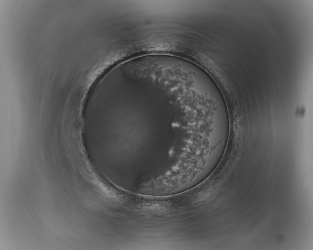 X0000112830721200908211216